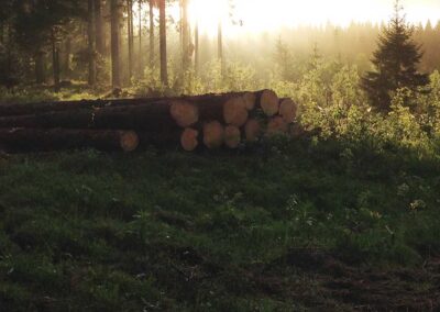 abendrot